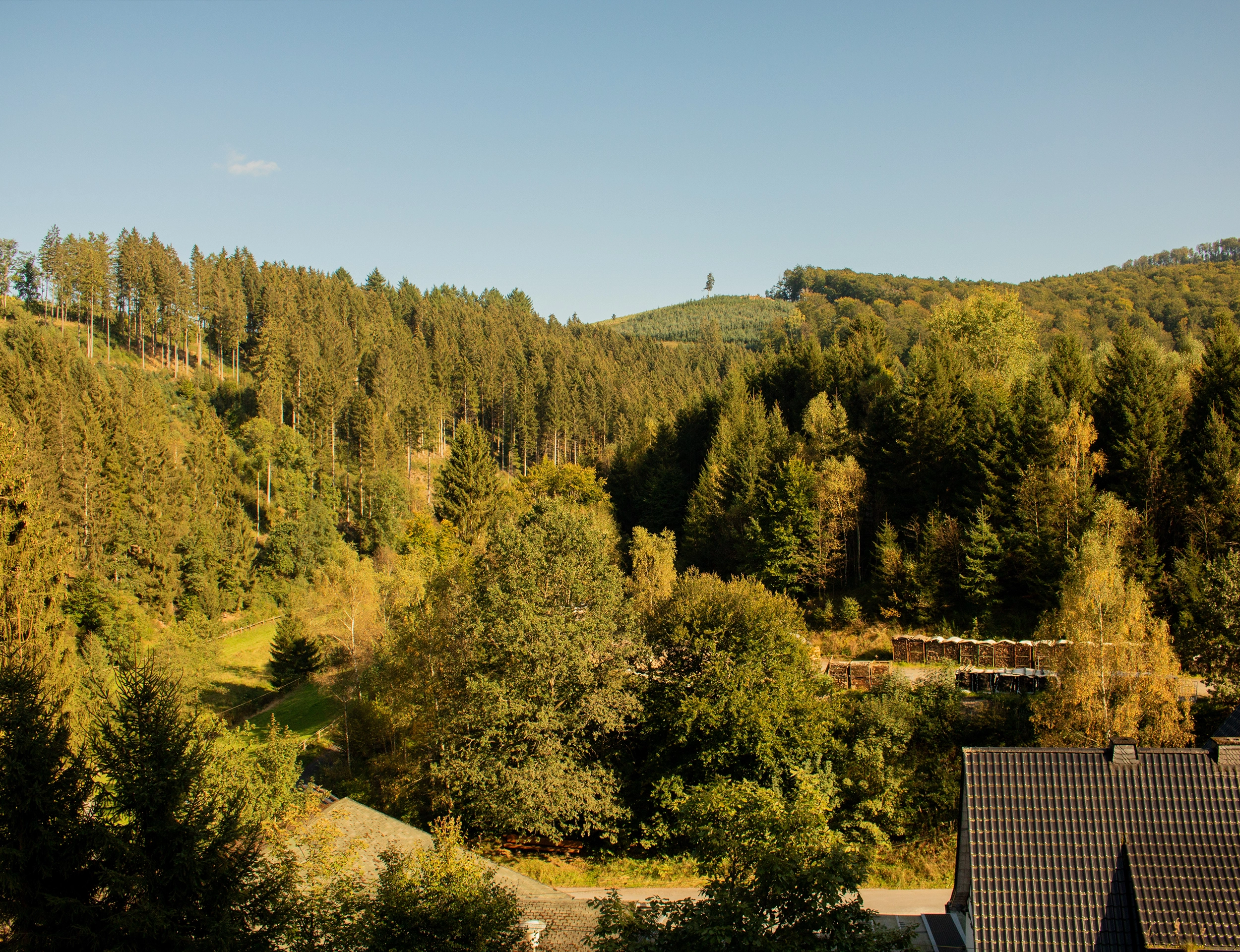 tannenhaeuschen-sauerland-galerie-20