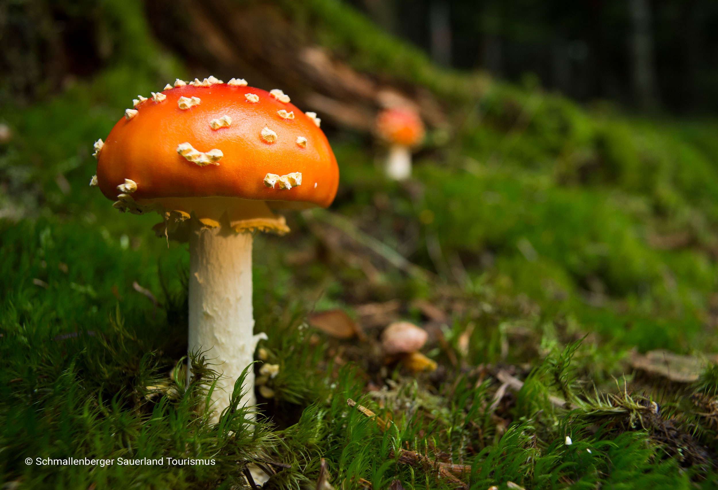 Header-Umgebung-11