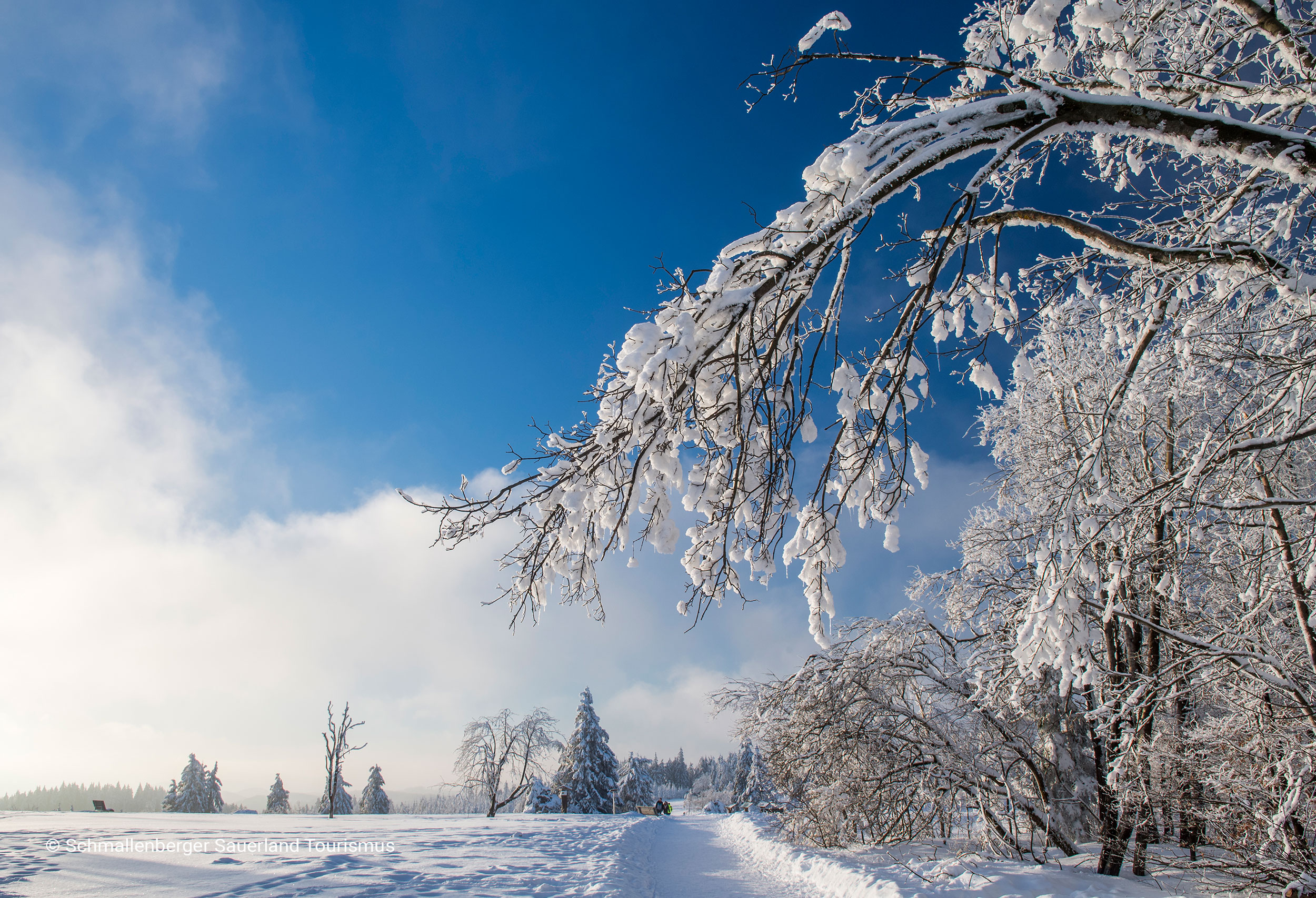 Header-Umgebung-13