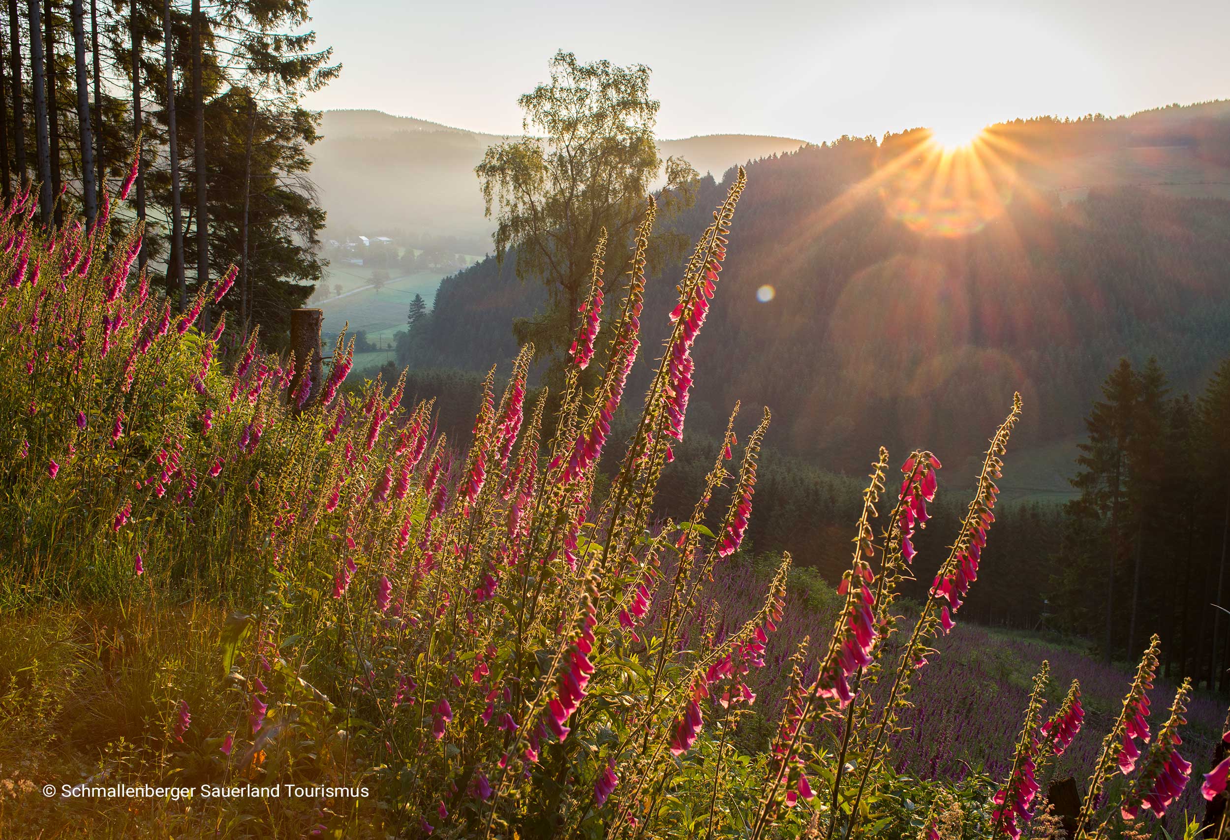 Header-Umgebung-2