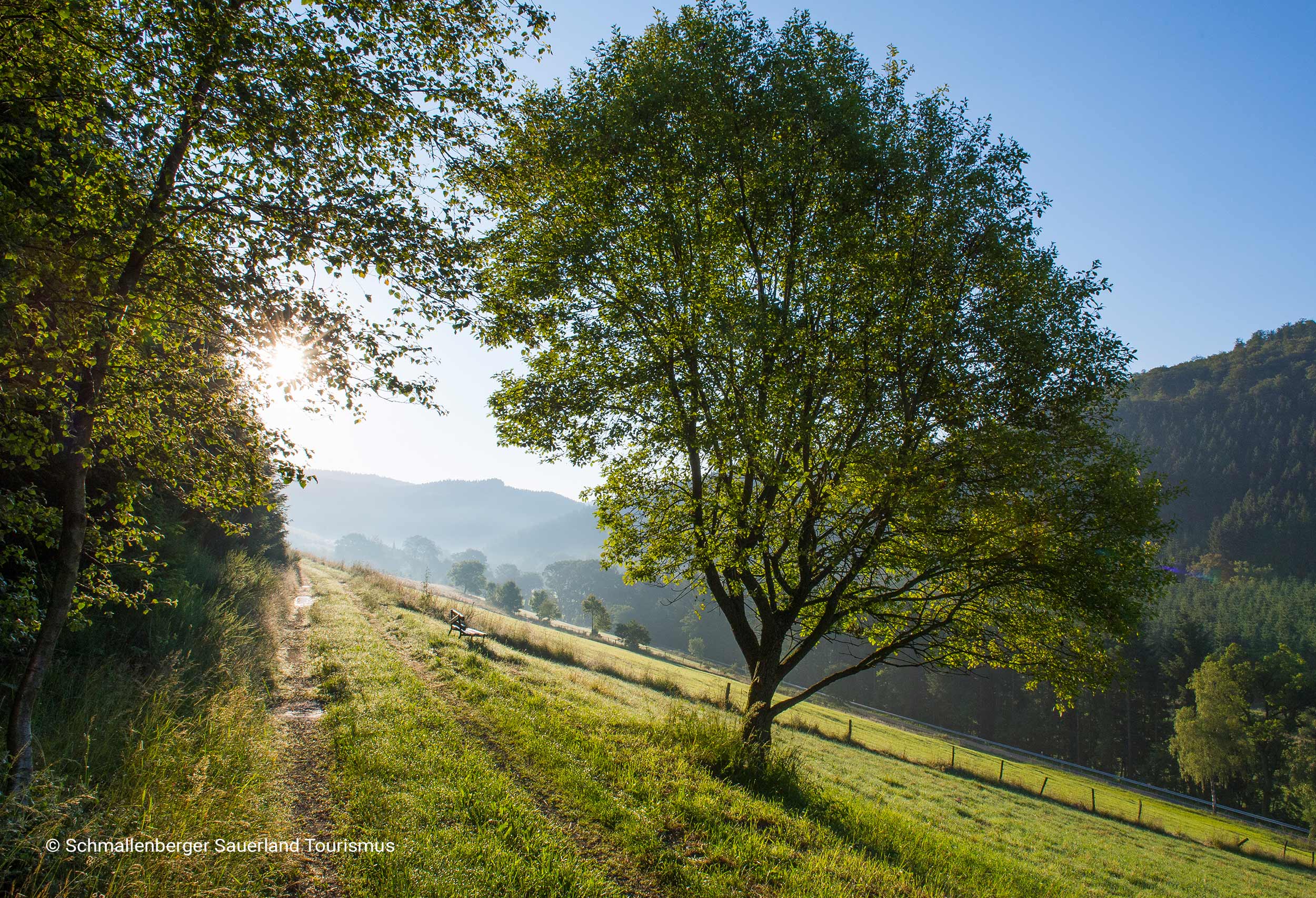 Header-Umgebung-3