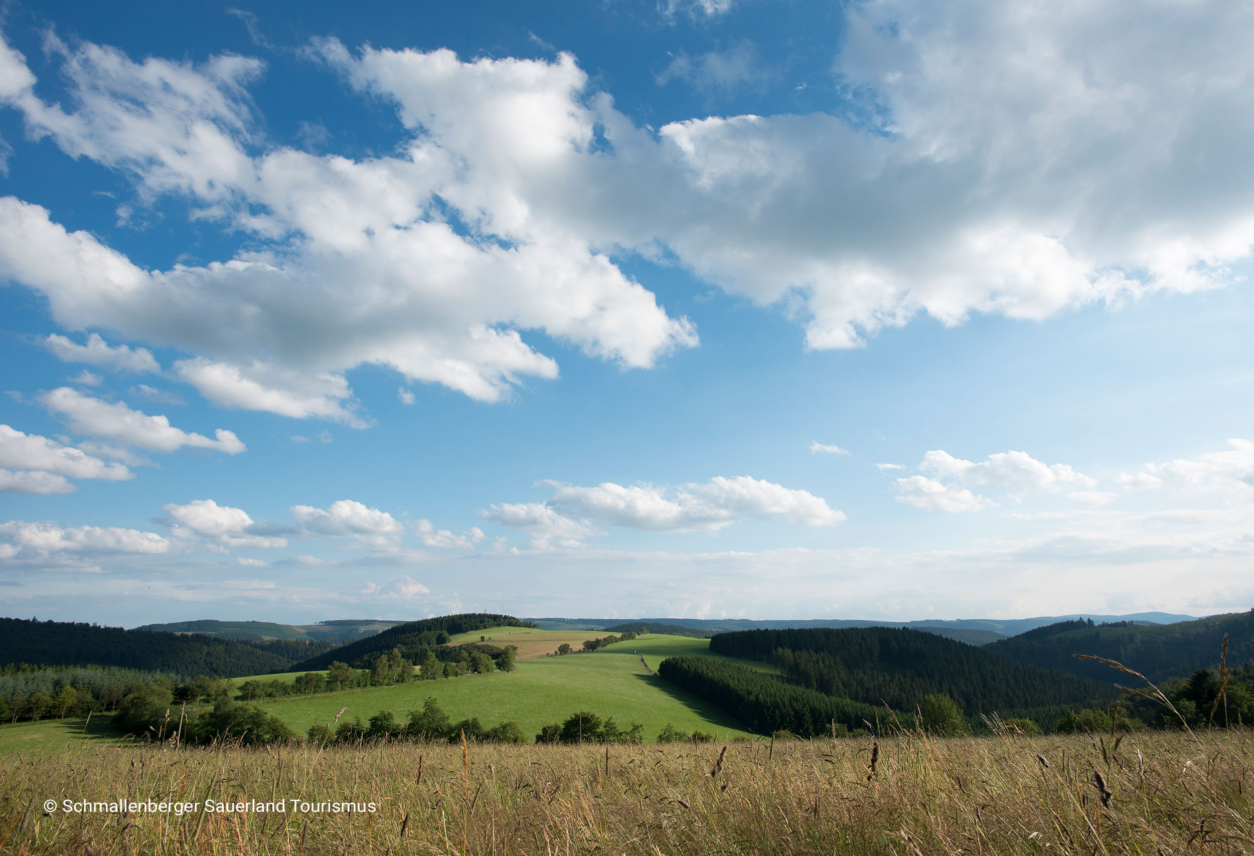 Header-Umgebung-4