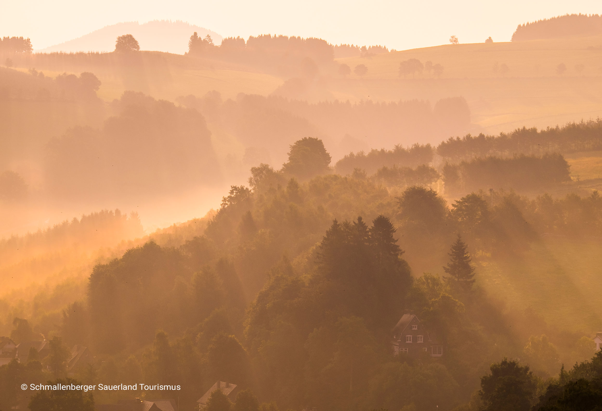 Header-Umgebung-5