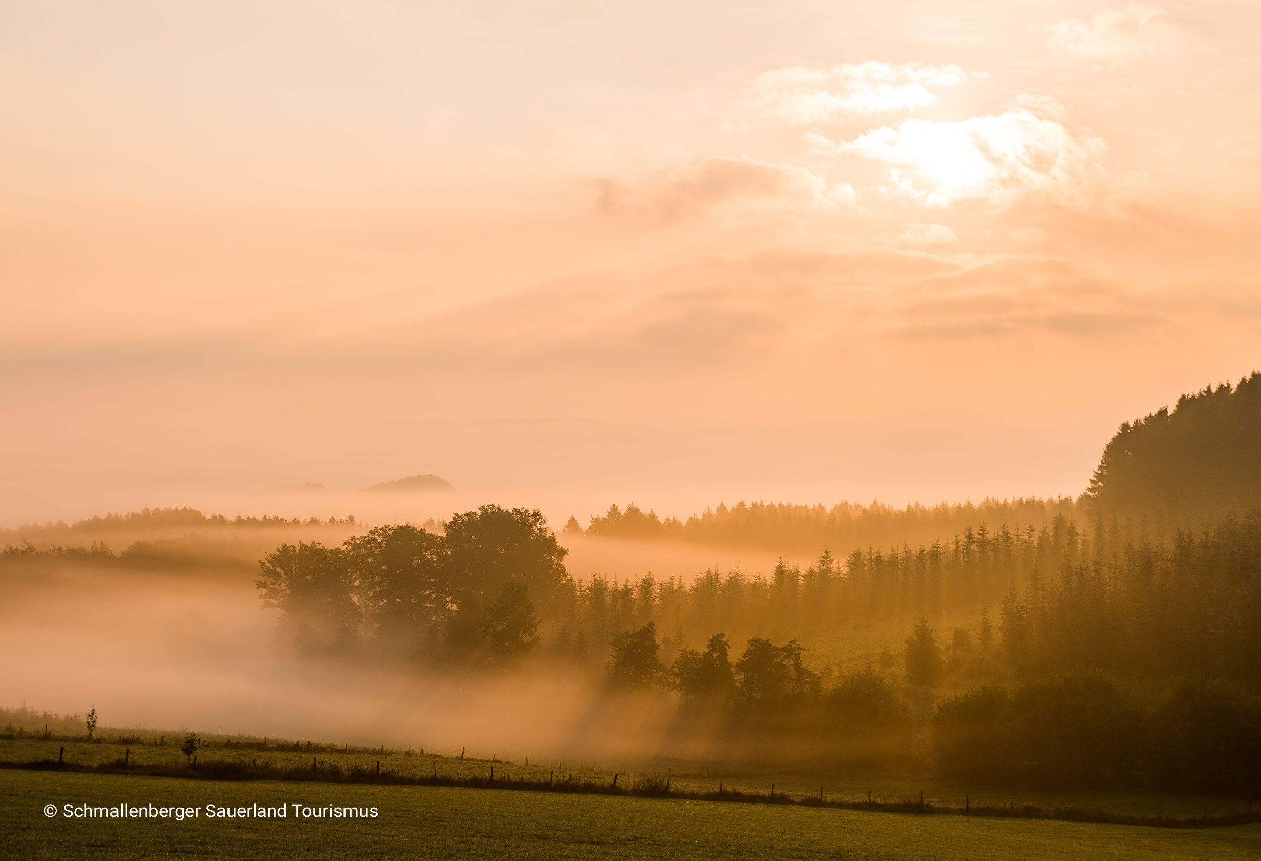 Header-Umgebung-7