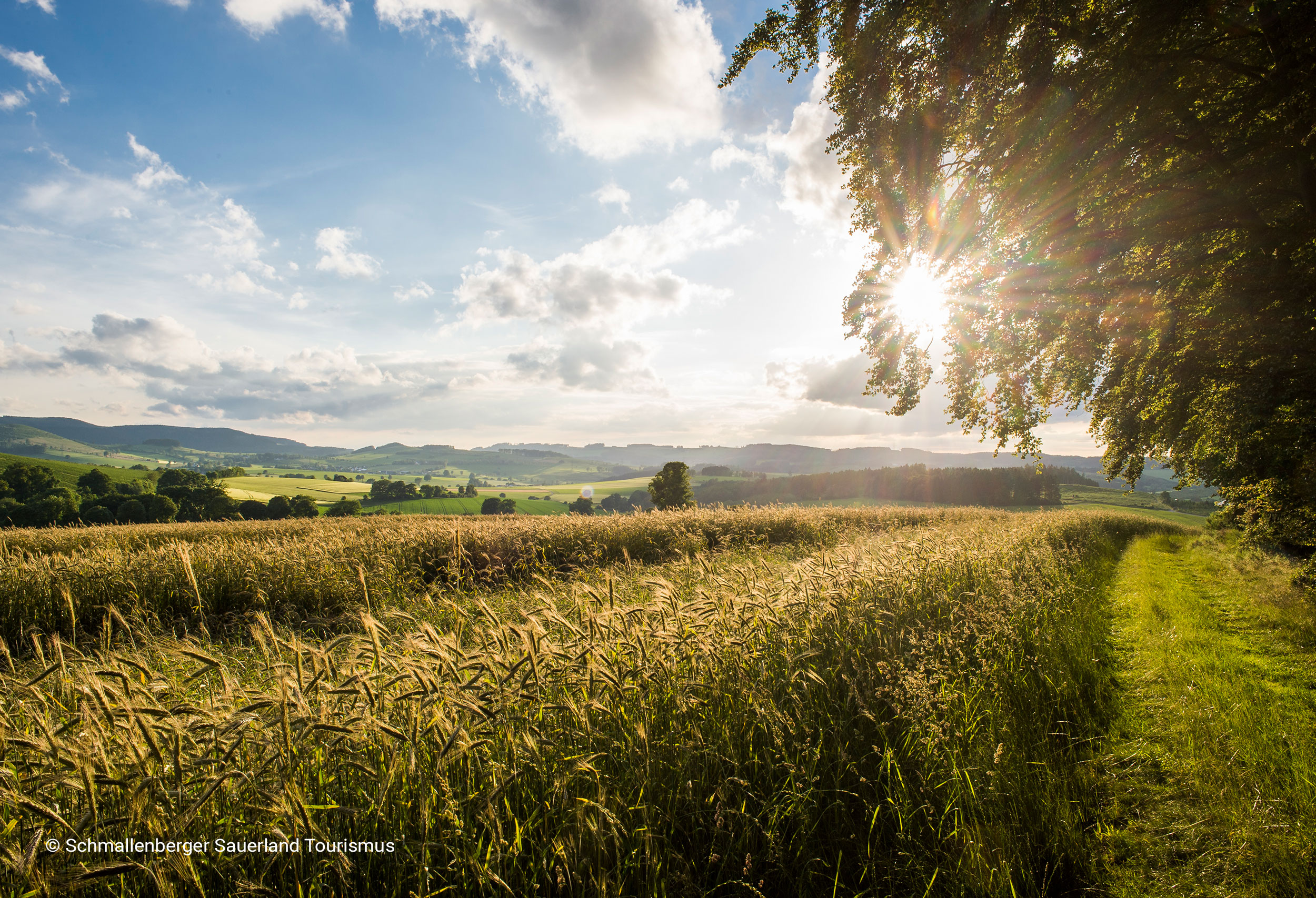 Header-Umgebung